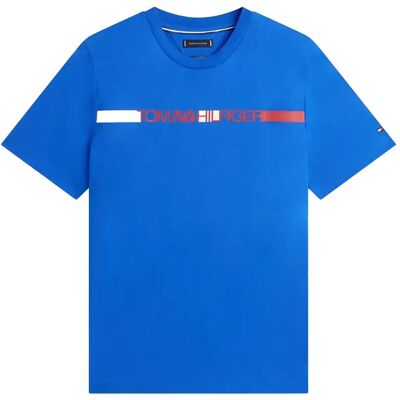 Tommy Hilfiger Brand Love Stripe Tee XXL REGAL BLUE XXL Tommy Hilfiger Brand Love Stripe Tee XXL REGAL BLUE XXL