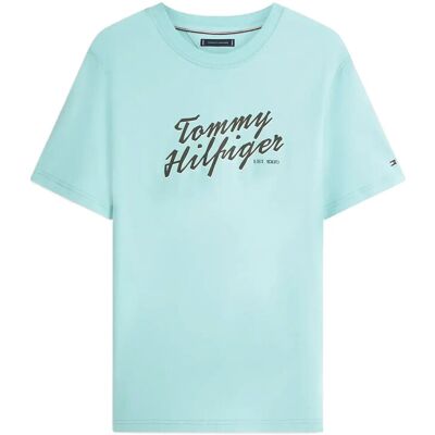 Tommy Hilfiger Summer Text Graphic Tee M ARCTIC AQUA M Tommy Hilfiger Summer Text Graphic Tee M ARCTIC AQUA M