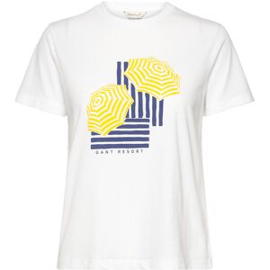 Gant Reg Graphic Ss T-Shirt XS MULTICOLOR XS Gant Reg Graphic Ss T-Shirt XS MULTICOLOR XS