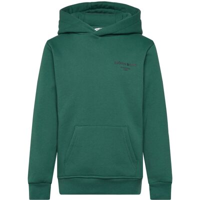 Björn Borg Borg Essential 1 Hoodie 110-116 POSY GREEN 110-116 Björn Borg Borg Essential 1 Hoodie 110-116 POSY GREEN 110-116
