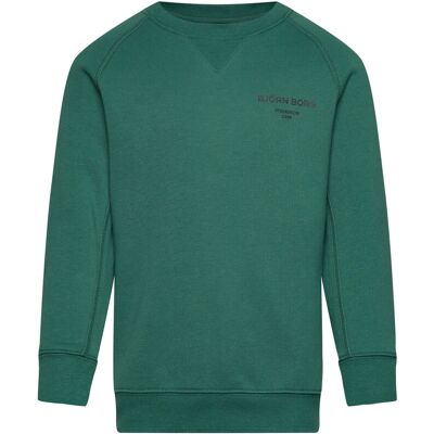 Björn Borg Borg Essential 1 Sweatshirt 158-164 POSY GREEN 158-164 Björn Borg Borg Essential 1 Sweatshirt 158-164 POSY GREEN 158-164