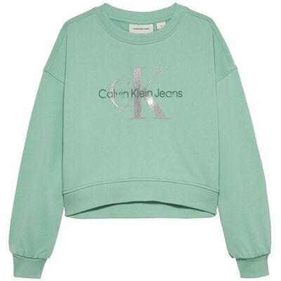 Calvin Glitter Monologo Cn Sweatshirt 116 TICKLED GREEN 116 Calvin Glitter Monologo Cn Sweatshirt 116 TICKLED GREEN 116