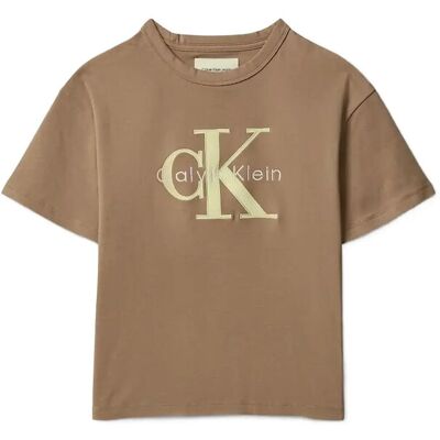 Calvin Mesh Applique Ss T-Shirt 170 F&T 17-1038 TCX TIGERS EYE 170 Calvin Mesh Applique Ss T-Shirt 170 F&T 17-1038 TCX TIGERS EYE 170