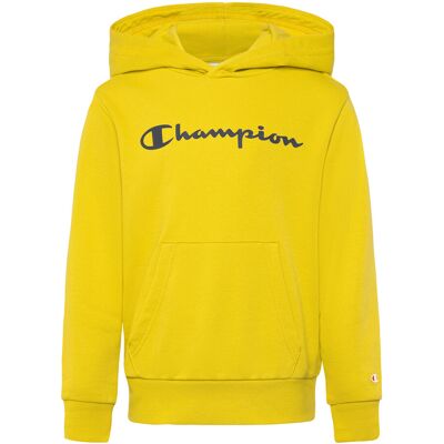 Champion Hooded Sweatshirt 138-143 YS170-MGMT 138-143 Champion Hooded Sweatshirt 138-143 YS170-MGMT 138-143