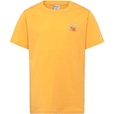 Champion Ss Tee 150-155 YS164-AGD 150-155 Champion Ss Tee 150-155 YS164-AGD 150-155