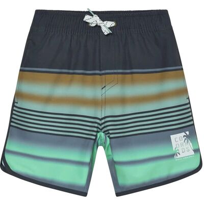 Color Kids Swim Long Shorts, Aop 116 FENNEL SEED 116 Color Kids Swim Long Shorts, Aop 116 FENNEL SEED 116