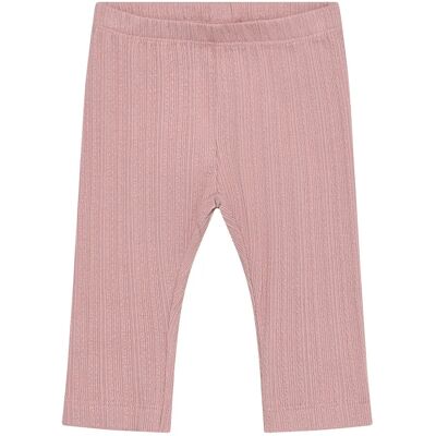 En Fant Leggings Pointelle 80 ZEPHYR 80 En Fant Leggings Pointelle 80 ZEPHYR 80