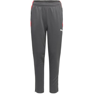 Individualliga Training Pants Jr 164 SHADOW GRAY-PUMA WHITE-GLOWING RED 164 Individualliga Training Pants Jr 164 SHADOW GRAY-PUMA WHITE-GLOWING RED 164