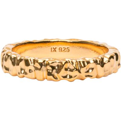 IX Studios Ix Crunchy Class Ring 60 GOLD 60 IX Studios Ix Crunchy Class Ring 60 GOLD 60