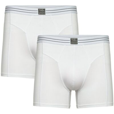 Björn Borg Viscose Cotton Blend Boxer 2P L MULTIPACK 2 L Björn Borg Viscose Cotton Blend Boxer 2P L MULTIPACK 2 L