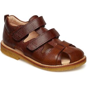 ANGULUS Sandals - Flat - Closed Toe 28 2509 COGNAC 28 ANGULUS Sandals - Flat - Closed Toe 28 2509 COGNAC 28