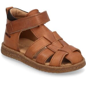 ANGULUS Sandals - Flat - Closed Toe 21 1545/1779 COGNAC/DARK BROWN 21 ANGULUS Sandals - Flat - Closed Toe 21 1545/1779 COGNAC/DARK BROWN 21