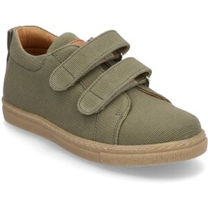 ANGULUS Shoes - Flat - With Velcro 31 x 20.20 4015/1789 FORREST/TAN 31 x 20.20 ANGULUS Shoes - Flat - With Velcro 31 x 20.20 4015/1789 FORREST/TAN 31 x 20.20