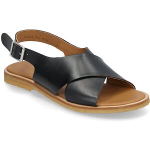 ANGULUS Sandals - Flat - Open Toe - Op 36 1604 BLACK 36 ANGULUS Sandals - Flat - Open Toe - Op 36 1604 BLACK 36