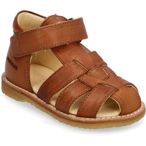 ANGULUS Sandals - Flat - Closed Toe - 24 1545 COGNAC 24 ANGULUS Sandals - Flat - Closed Toe - 24 1545 COGNAC 24