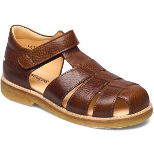 ANGULUS Sandals - Flat - Closed Toe 25 2509 COGNAC 25 ANGULUS Sandals - Flat - Closed Toe 25 2509 COGNAC 25