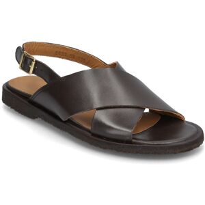 ANGULUS Sandals - Flat - Open Toe - Op 37.5 3639 DARK BROWN 37.5 ANGULUS Sandals - Flat - Open Toe - Op 37.5 3639 DARK BROWN 37.5