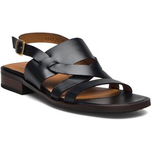 ANGULUS Sandals - Flat 36 1785 BLACK 36 ANGULUS Sandals - Flat 36 1785 BLACK 36