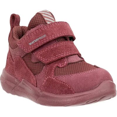ECCO Biom 2.2 Infant 19 NOCTURNE/NOCTURNE/NOCTURNE 19 ECCO Biom 2.2 Infant 19 NOCTURNE/NOCTURNE/NOCTURNE 19