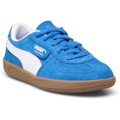 Palermo Ps 31 HYPERLINK BLUE-PUMA WHITE 31 Palermo Ps 31 HYPERLINK BLUE-PUMA WHITE 31
