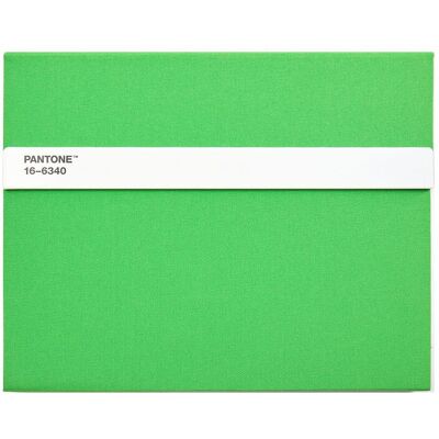 Pantone New Notebook With Pencil. / Lined ONE SIZE GREEN 16-6340 ONE SIZE Pantone New Notebook With Pencil. / Lined ONE SIZE GREEN 16-6340 ONE SIZE