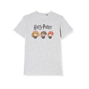 cotton division Harry Potter – Chibi Friends – t-shirt enfant (12 ans)