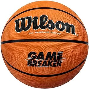Wilson Gamebreaker Basket