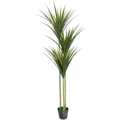 HOME-TEX Konstgjord palm med 3 stammar, 160 cm hög - Dracaena Marginata palm HOME-TEX Konstgjord palm med 3 stammar, 160 cm hög - Dracaena Marginata palm