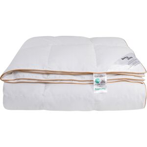 Borg Living 100% myskdunstäcke - NOMITE helårstäcke (allergivänligt) - 240x220 cm - Extra fint bomullssatinöverdrag - Årsdynen 2025 Borg Living 100% myskdunstäcke - NOMITE helårstäcke (allergivänligt) - 240x220 cm - Extra fint bomullssatinöverdrag - Årsdynen 2025