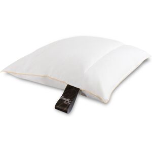 By Borg Huvudkudde med myskdun - 4-kammare - 60x63 cm - By Borg Huvudkudde med myskdun - 4-kammare - 60x63 cm -