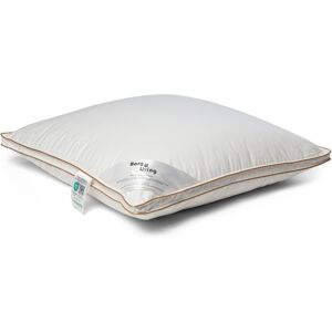 Borg Living Huvudkudde med myskandun - 60x63 cm - Mellankudde - 3-kammars dun-kudde - Årspuden 2025 Borg Living Huvudkudde med myskandun - 60x63 cm - Mellankudde - 3-kammars dun-kudde - Årspuden 2025