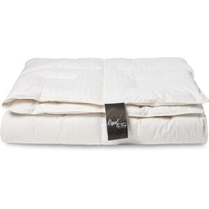 Norvigroup Dubbelt myskdunstäcke - 100% europeiska dun - Helårstäcke - 200x220 cm - Danskt producerat - Royal By Borg - Varm duntäcke Norvigroup Dubbelt myskdunstäcke - 100% europeiska dun - Helårstäcke - 200x220 cm - Danskt producerat - Royal By Borg - Varm duntäcke