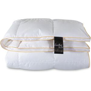 Lyxig gåsedunsfjäderfädrar - 140x220cm - Premium kvalitet Lyxig gåsedunsfjäderfädrar - 140x220cm - Premium kvalitet