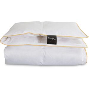 Premium By Borg Gåsedunsdyna 100x140 - Varm Året Runt Premium By Borg Gåsedunsdyna 100x140 - Varm Året Runt