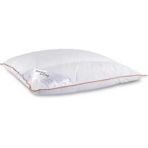 Borg Living Huvudkudde - Mellan 4-kammars myskdunskudde - 60x63 cm - Borg Living Huvudkudde - Mellan 4-kammars myskdunskudde - 60x63 cm -
