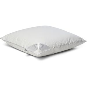 Nordstrand Home Myskdun huvudkudde - Låg dunkudde - 3-kammarskudde - 60x63 cm - Nordstrand Home Myskdun huvudkudde - Låg dunkudde - 3-kammarskudde - 60x63 cm -