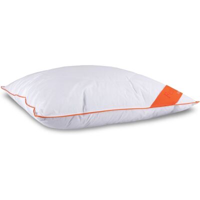 Ekologisk gåseduns kudde Modell C 60x63cm - Stöd, 3-kammare Ekologisk gåseduns kudde Modell C 60x63cm - Stöd, 3-kammare