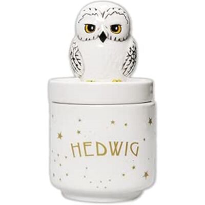 Harry Potter: Collectors Box Boxed (14cm) - Harry Potter (Hedwig) Harry Potter: Collectors Box Boxed (14cm) - Harry Potter (Hedwig)