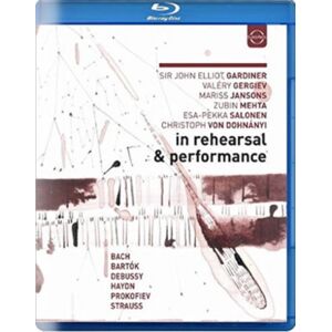 In Rehearsal and Performance II