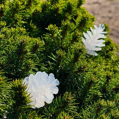 LightsOn Pine 10m Ljuslina Vita Kottar - Ljuslina LightsOn Pine 10m Ljuslina Vita Kottar - Ljuslina