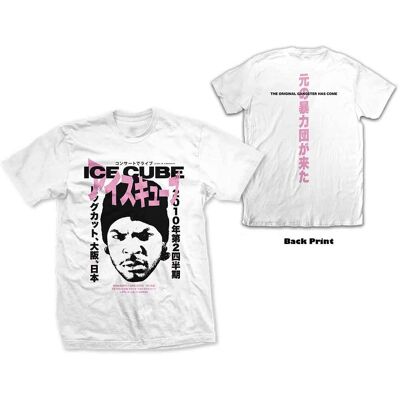 Ice Cube: Unisex T-Shirt/Beanie Kanji (White) (Back Print) (Medium) Ice Cube: Unisex T-Shirt/Beanie Kanji (White) (Back Print) (Medium)