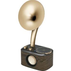 Sangean Euphonic 45X Guld