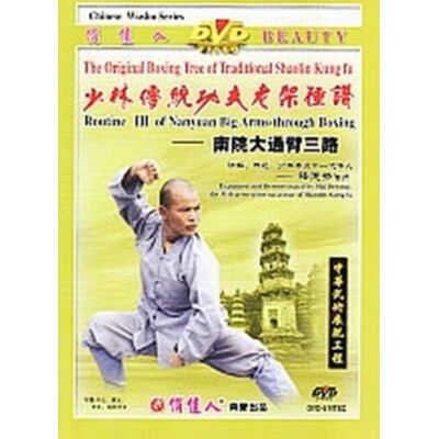 Routine 3 of Nanyuan Big Arms - Through Boxing Routine 3 of Nanyuan Big Arms - Through Boxing