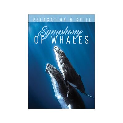 Symphony Of Whales Symphony Of Whales