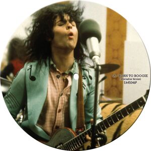 T Rex: Born To Boogie (Picturedisc)