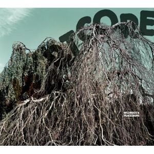 Wildbirds & Peacedrums: Heartcore
