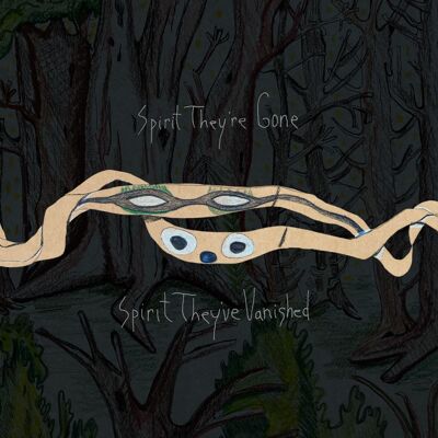 Animal Collective: Spirit They're Gone.. (Green) Animal Collective: Spirit They're Gone.. (Green)