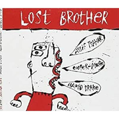 Tsahar Assif/Hamid Drake/Cooper-Moore: Lost Bro. Tsahar Assif/Hamid Drake/Cooper-Moore: Lost Bro.