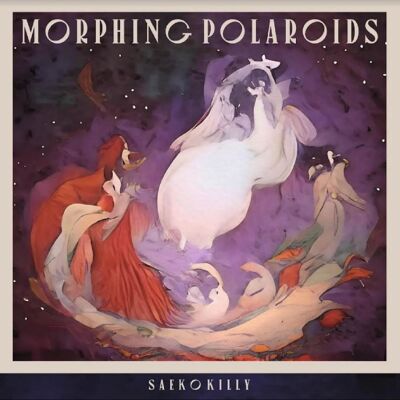 Saeko Killy: Morphing Polaroids Saeko Killy: Morphing Polaroids