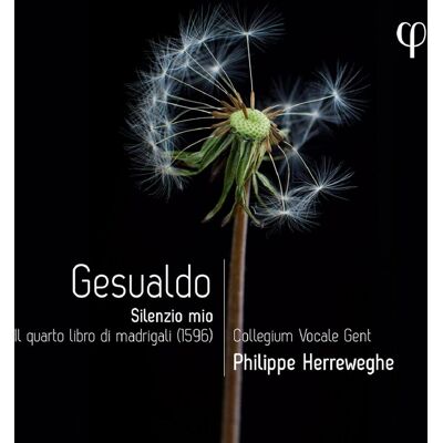 Gesualdo: Silenzio Mio (Herreweghe) Gesualdo: Silenzio Mio (Herreweghe)